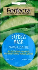 Kosteuttava kasvonaamio aloe-uutteella Perfecta Express 8 ml hinta ja tiedot | Kasvonaamiot ja silmänalusaamiot | hobbyhall.fi