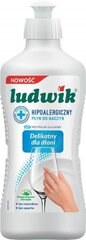 Astianpesuaine Ludwick, 450 g hinta ja tiedot | Astianpesuaineet | hobbyhall.fi