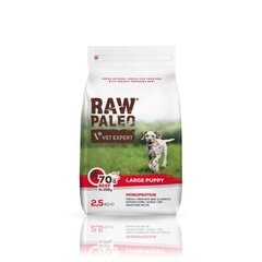 Raw Paleo viljaton kuivaruoka isojen rotujen pennuille Puppy Suuri rotu, naudanlihalla, 2,5 kg hinta ja tiedot | Koiran kuivaruoka | hobbyhall.fi