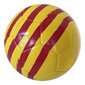 Jalkapallo FC Barcelona Catalunya hinta ja tiedot | Jalkapallot | hobbyhall.fi