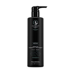 Paul Mitchell Awapuhi Wild Ginger Keratin Intensive hiustenhoitoaine, 500 ml hinta ja tiedot | Hoitoaineet | hobbyhall.fi