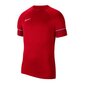 Nike Dri-FIT Academy 21 M CW6101-657 urheilupaita, punainen hinta ja tiedot | Miesten urheiluvaatteet | hobbyhall.fi