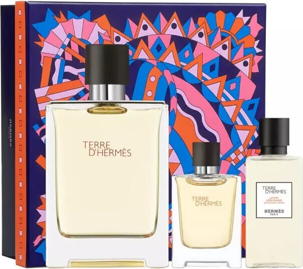 Hermès Terre D´ Hermes Edt Spray 100ml Set hinta ja tiedot | Miesten hajuvedet | hobbyhall.fi
