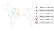 Amiplay Grand Soft Reflective -valjaat, säädettävät, XL, punainen hinta ja tiedot | Koiran valjaat ja kaulapannat | hobbyhall.fi