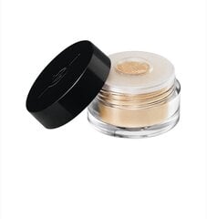 Puuteri-luomiväri Make Up for Ever Star Lit Powder 1,4 g, Ivory hinta ja tiedot | Silmämeikit | hobbyhall.fi