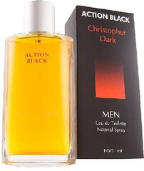 Christopher Dark Action Black EDT hajuvesi miehille, 100 ml hinta ja tiedot | Miesten hajuvedet | hobbyhall.fi