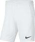 Nike miesten shortsit BV6855 100, valkoinen hinta ja tiedot | Miesten shortsit | hobbyhall.fi