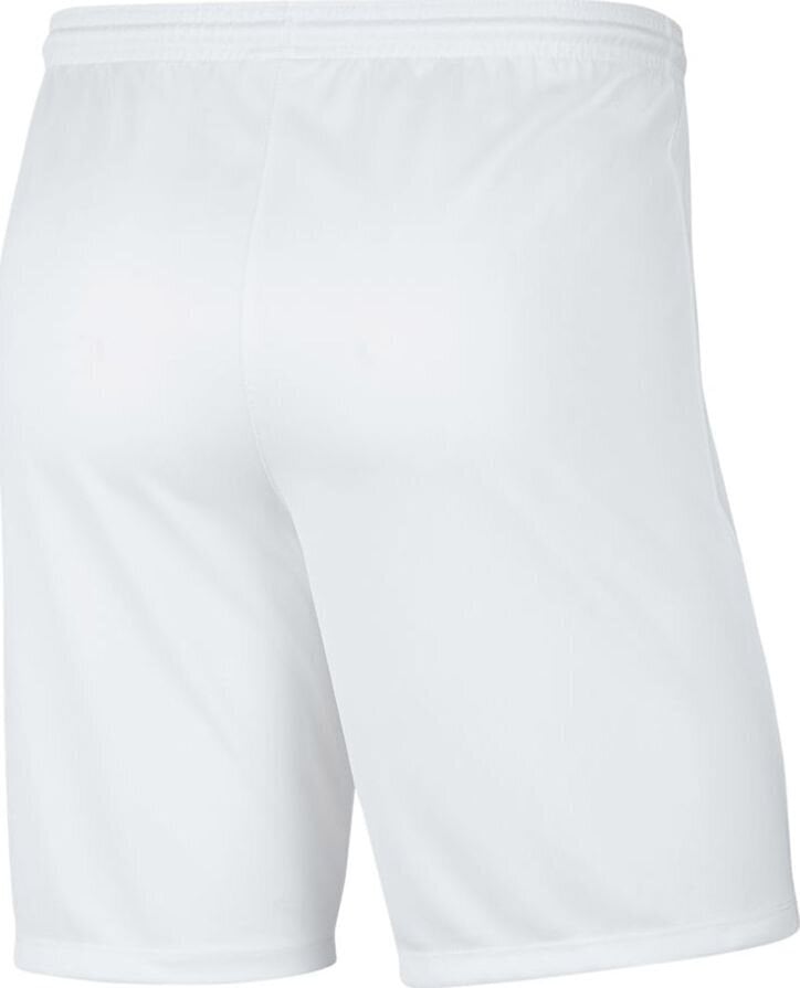 Nike miesten shortsit BV6855 100, valkoinen hinta ja tiedot | Miesten shortsit | hobbyhall.fi