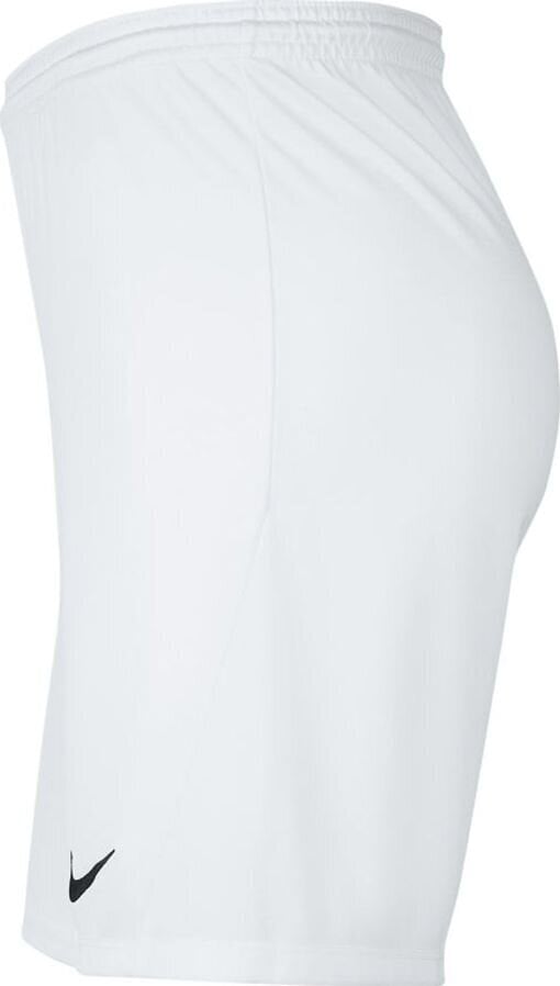 Nike miesten shortsit BV6855 100, valkoinen hinta ja tiedot | Miesten shortsit | hobbyhall.fi