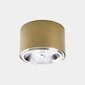 Kattovalaisin TK Lighting Moris 3349 hinta ja tiedot | Kattovalaisimet | hobbyhall.fi