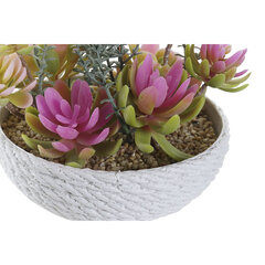 Koristekasvi DKD Home Decor Pinkki-valkoinen-vihreä EVA PE (12,5 x 12,5 x 12 cm) (2 kpl) (2 kpl) hinta ja tiedot | Keinotekoiset kukat | hobbyhall.fi