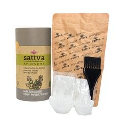 Kasviperäinen tumman vaalea tuhka hiusväri, 150g hinta ja tiedot | Sattva Ayurveda Hajuvedet ja kosmetiikka | hobbyhall.fi