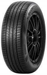 Pirelli Scorpion 255/45R20 105 Y XL hinta ja tiedot | Pirelli Autotuotteet | hobbyhall.fi
