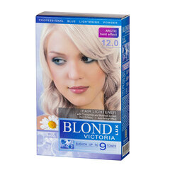 Hiusten vaalennusaine Blond Victoria Lux Nr. 12 hinta ja tiedot | Hiusvärit | hobbyhall.fi
