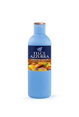 Felce Azzurra Amber & Argan suihkugeeli, 650 ml hinta ja tiedot | Felce Azzurra Hajuvedet ja kosmetiikka | hobbyhall.fi