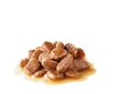 Royal Canin Fcn Wet Urinary Care Gravy kissojen märkäruoka 85 grammaa x 12 kpl hinta ja tiedot | Kissanruoka | hobbyhall.fi