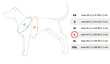 Amiplay Grand Soft Reflective säädettävät valjaat Heijastava, L, sininen hinta ja tiedot | Koiran valjaat ja kaulapannat | hobbyhall.fi