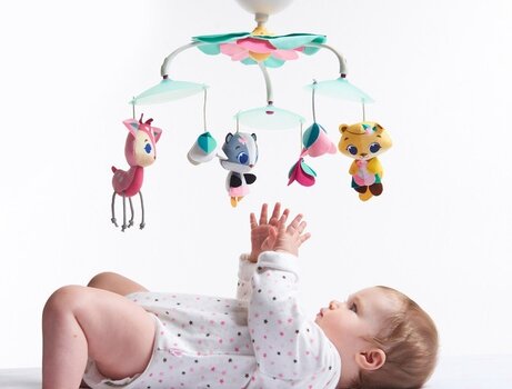 Musiikkikaruselli Tiny Love Tiny Princess Tale hinta ja tiedot | Vauvan lelut | hobbyhall.fi