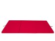 Taitettava patja Hobbygarden Alex XXL, 120x195 cm, punainen hinta ja tiedot | Patjat | hobbyhall.fi