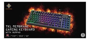 Delcato Gaming DK230 TKL hinta ja tiedot | Näppäimistöt | hobbyhall.fi