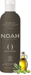 Shampoo kuiville hiuksille, kosteuttava Noah Origins, 250 ml hinta ja tiedot | Shampoot | hobbyhall.fi