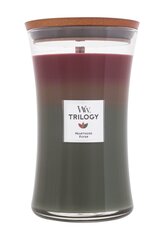 WoodWick Trilogy Hearthside -tuoksukynttilä, 609,5 g hinta ja tiedot | Kynttilät ja kynttilänjalat | hobbyhall.fi