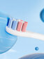 Oclean Kids -hammasharja hinta ja tiedot | Sähköhammasharjat | hobbyhall.fi