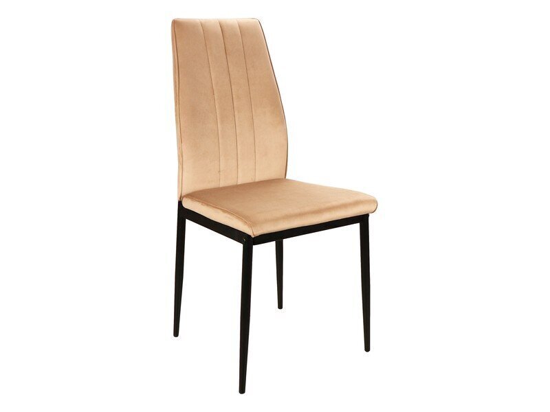 4 tuolin sarja Signal Meble Atom, beige hinta ja tiedot | Ruokapöydän tuolit | hobbyhall.fi