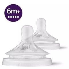 Tutti pulloon Philips Avent Natural SCY965/02, 6kk+, 2 kpl hinta ja tiedot | Tuttipullot ja tarvikkeet | hobbyhall.fi