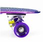 Nils Extreme Pennyboard PNB01 Rainbow, rullalauta eri värejä hinta ja tiedot | Skeittilaudat | hobbyhall.fi