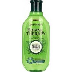 Garnier Botanic Therapy -shampoo, 400 ml hinta ja tiedot | Shampoot | hobbyhall.fi