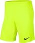 Nike Miesten shortsit BV6855 702, sinisen väriset hinta ja tiedot | Miesten shortsit | hobbyhall.fi