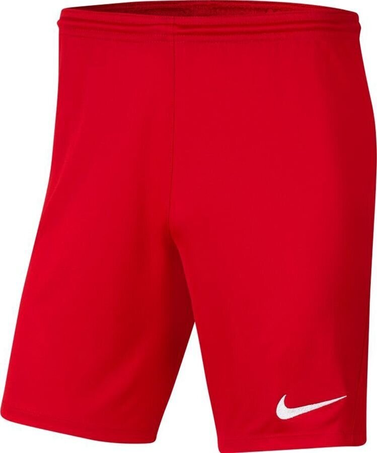 Nike shortsit miehille BV6855 657, sinisen värinen hinta ja tiedot | Miesten shortsit | hobbyhall.fi