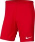 Nike shortsit miehille BV6855 657, sinisen värinen hinta ja tiedot | Miesten shortsit | hobbyhall.fi