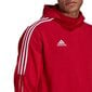 Miesten paita Adidas Tiro 21 Sweat Hoody M GM7353 78025, sininen hinta ja tiedot | Miesten puserot ja hupparit | hobbyhall.fi