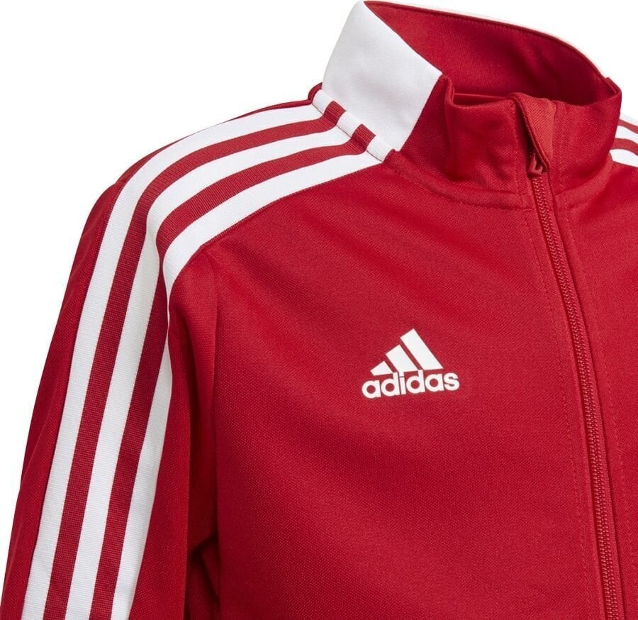 Lasten collegepaita Adidas Tiro 21, 176 cm, punainen hinta ja tiedot | Poikien puserot, liivit ja jakut | hobbyhall.fi