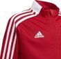 Lasten collegepaita Adidas Tiro 21, 176 cm, punainen hinta ja tiedot | Poikien puserot, liivit ja jakut | hobbyhall.fi