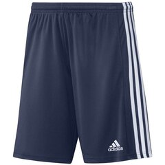 Miesten shortsit Adidas Squadra 21 Short M GN5775, sininen hinta ja tiedot | Miesten shortsit | hobbyhall.fi
