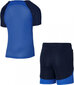 Nike Academy Pro Training Kit Jr DH9484 463 DH9484463 hinta ja tiedot | Poikien kokoasut ja setit | hobbyhall.fi