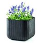 Keter Cube Planter, 50,5 litrainen, grafiitin värinen Kukkaruukku hinta ja tiedot | Kukkaruukut | hobbyhall.fi