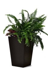 Keter Rattan Planter, Kukkaruukku 57 cm hinta ja tiedot | Kukkaruukut | hobbyhall.fi