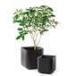 Keter Cube Planter ruukku, 50,5 litraa, ruskean värinen hinta ja tiedot | Kukkaruukut | hobbyhall.fi