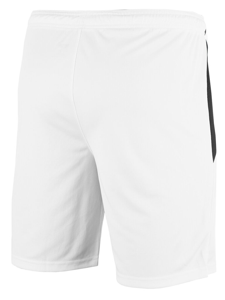 Nike Dry Park III miesten shortsit NB K Mint BV6855 354 hinta ja tiedot | Miesten shortsit | hobbyhall.fi