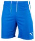 Nike Dry Park III miesten shortsit NB K Mint BV6855 354 hinta ja tiedot | Miesten shortsit | hobbyhall.fi