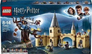 75953 LEGO® Harry Potter Tylypahkan tällipaju hinta ja tiedot | LEGOT ja rakennuslelut | hobbyhall.fi