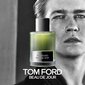 Tom Ford Signature Beau De Jour EDP miehille, 100 ml hinta ja tiedot | Miesten hajuvedet | hobbyhall.fi