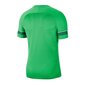 Miesten urheilupaita Nike Dri-FIT Academy 21 M CW6101-362, vihreä hinta ja tiedot | Miesten urheiluvaatteet | hobbyhall.fi