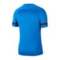 Miesten urheilupaita Nike Dri-FIT Academy 21 M CW6101-463, sininen hinta ja tiedot | Miesten urheiluvaatteet | hobbyhall.fi