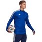 Miesten paita Adidas Tiro 21 M GH7302, sininen hinta ja tiedot | Miesten puserot ja hupparit | hobbyhall.fi