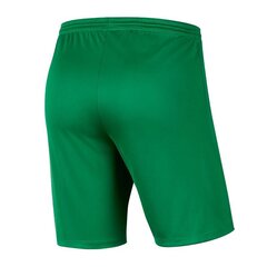 Poikien shortsit Nike, vihreä hinta ja tiedot | Poikien shortsit | hobbyhall.fi